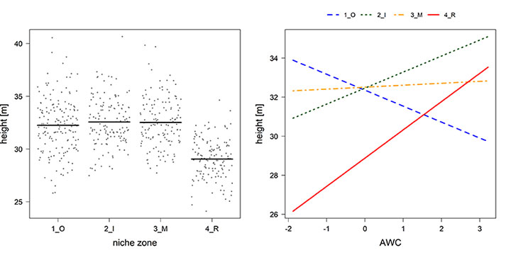 e013-fig2