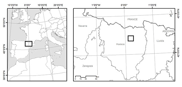 eSC03-fig.1