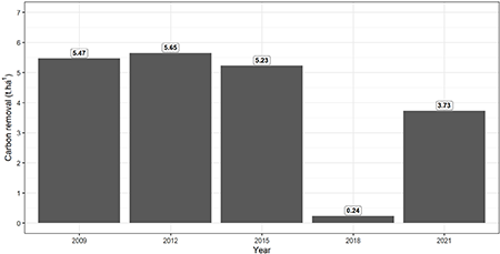 Carbon removal potential of an urban forest in southern Brazil.