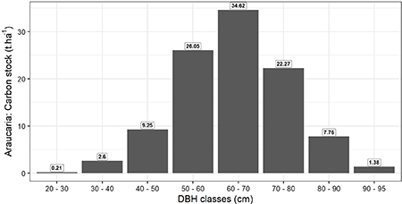 Carbon stock by diameter class for Araucaria.