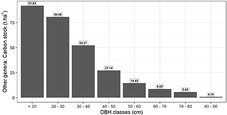 Carbon stock by diameter class for the other genera.