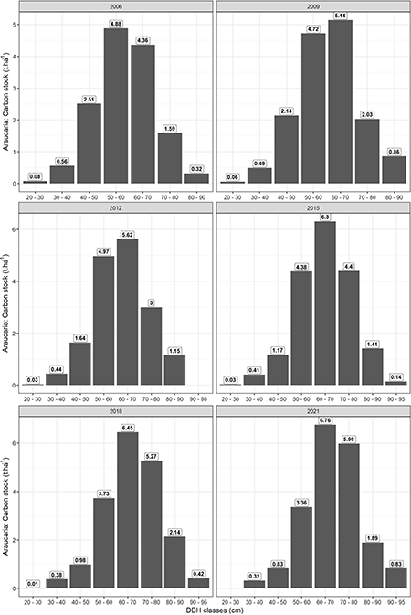 Carbon stock by diameter class for Araucaria evaluated by years (2006, 2009, 2012, 2015, 2018, and 2021).