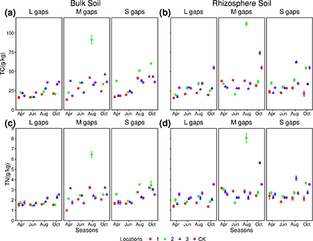 Total carbon content in different locations and gap sizes across seasons for: (a) bulk soil and (b) rhizosphere soil. Total nitrogen content in different locations and gap sizes across seasons for: (c) bulk soil and (d) rhizosphere soil. TC: total carbon; TN: total nitrogen. Locations 1, 2 and 3 represent 1 time the forest gap radius, 2 times the forest gap radius, and 3 times the forest gap radius, respectively.