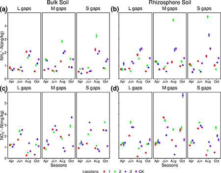 NH4+-N content in different locations and gap sizes across seasons for: (a) bulk soil and (b) rhizosphere soil. NO3—N content in different locations and gap sizes across seasons for: (c) bulk soil and (d) rhizosphere soil. Locations 1, 2 and 3 represent 1 time the forest gap radius, 2 times the forest gap radius, and 3 times the forest gap radius, respectively.