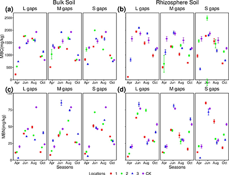 Microbial biomass carbon content in different locations and gap sizes across seasons for: (a) bulk soil and (b) rhizosphere soil. Microbial biomass nitrogen different locations and gap sizes across seasons for: (c) bulk soil and (d) rhizosphere soil. MBC: microbial biomass carbon; MBN: microbial biomass nitrogen. Locations 1, 2 and 3 represent 1 time the forest gap radius, 2 times the forest gap radius, and 3 times the forest gap radius, respectively.
