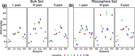 Soluble organic carbon content in different locations and gap sizes across seasons for: (a) bulk soil and (b) rhizosphere soil. SOC: soluble organic carbon. Locations 1, 2 and 3 represent 1 time the forest gap radius, 2 times the forest gap radius, and 3 times the forest gap radius, respectively.