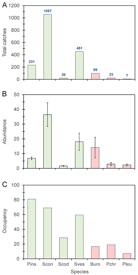 Total number of catches during this study (A), abundance (B), and occupancy (C) of the clear-wing moth species captured in the pheromone traps: four oak-living target species (green bars): Paranthrene insolita (Pins), Synanthedon conopiformis (Scon), Synanthedon codeti (Scod) and Synanthedon vespiformis (Sves); and three main non-target sesid species (red bars): Bembecia uroceriformis (Buro), Pyropteron chrysidiformis (Pchr) and Pyropteron leucomelaena (Pleu). Vertical lines (panel B) represent the standard error of the mean. See text for a definition of the abundance and occupancy variables.