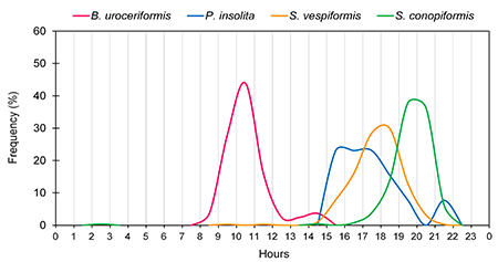Diel activity (hourly flight frequency, %) in Extremadura of three target species of clear-wing moths: Paranthrene insolita, Synanthedon conopiformis and Synanthedon vespiformis; and one non-target sesid species: Bembecia uroceriformis, as assessed with automated traps in two sites for three years (site/year codes: 22S, 43S, 44F and 46F; see Suppl. Table S1; data pooled within species).