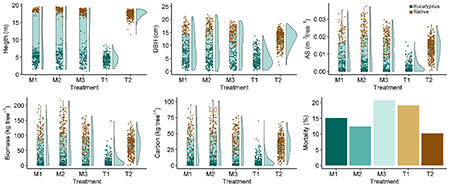 Means and range values found for height (H), diameter at breast height (DBH), stem cross-sectional area (SA), total biomass (B) and total carbon (C), and percentage of dead plants (M) for Eucalyptus and native species in an Atlantic Forest restoration in Brazil at 42 months after planting.