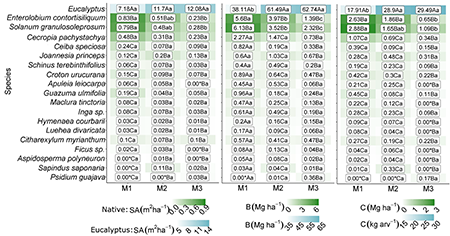 Means of the interactions between species and planting models for stem cross-sectional area per tree (SA), total biomass (B) and total carbon (C) in an Atlantic Forest restoration in Brazil at 42 months after planting. Capital letters represent the species and lowercase letters represent the planting models. Means followed by the same letter in the same column did not differ from each other according to the Scott-Knott test at the 5% error probability level. Averages followed by an asterisk (*) indicate values less than 0.009.